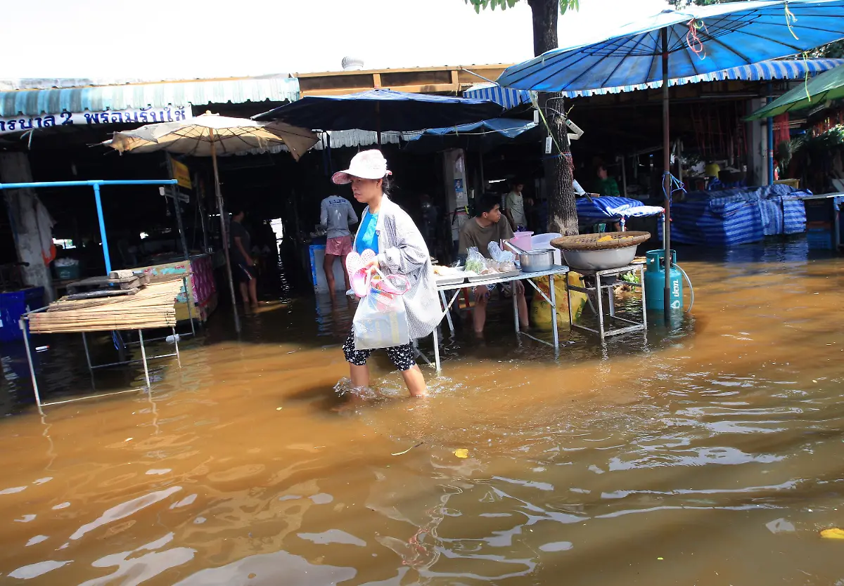 30wz2133-jpg4395073070578917865