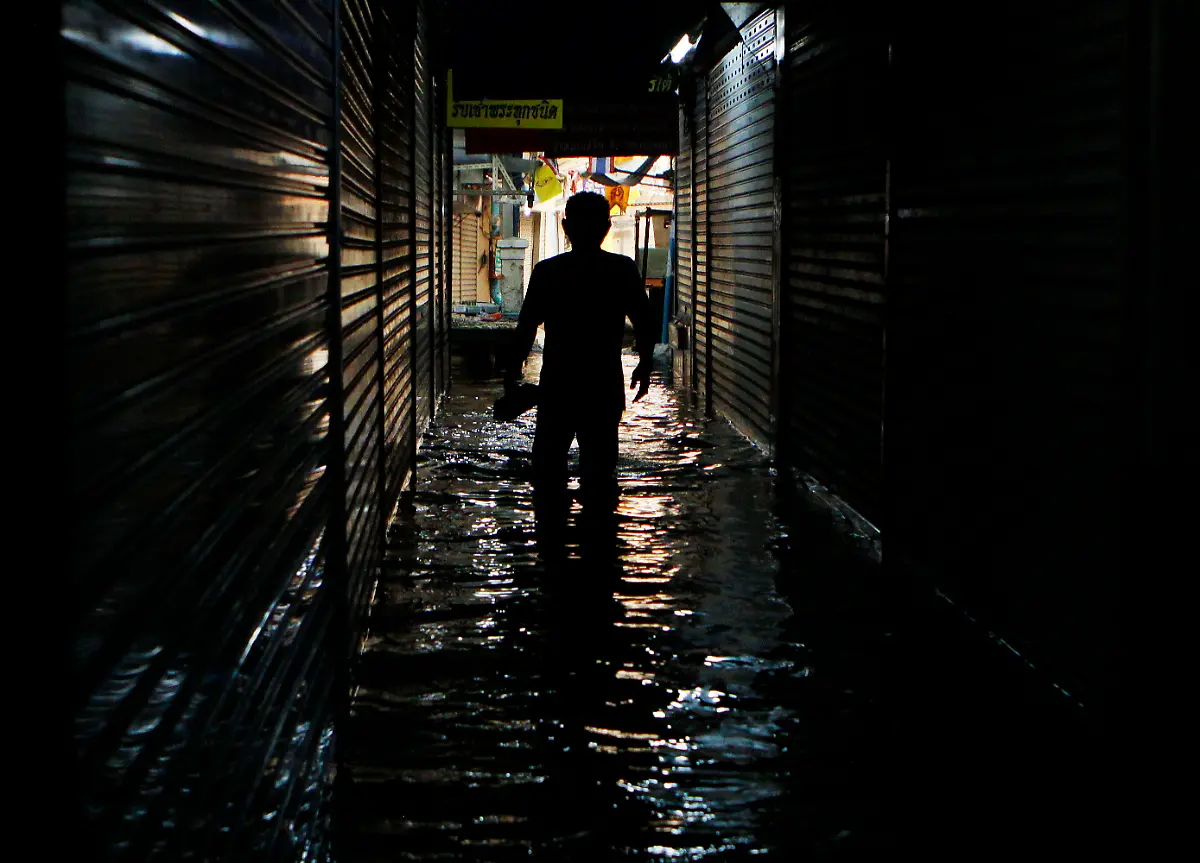 DAB2672-20111023-jpg7777718262858145514