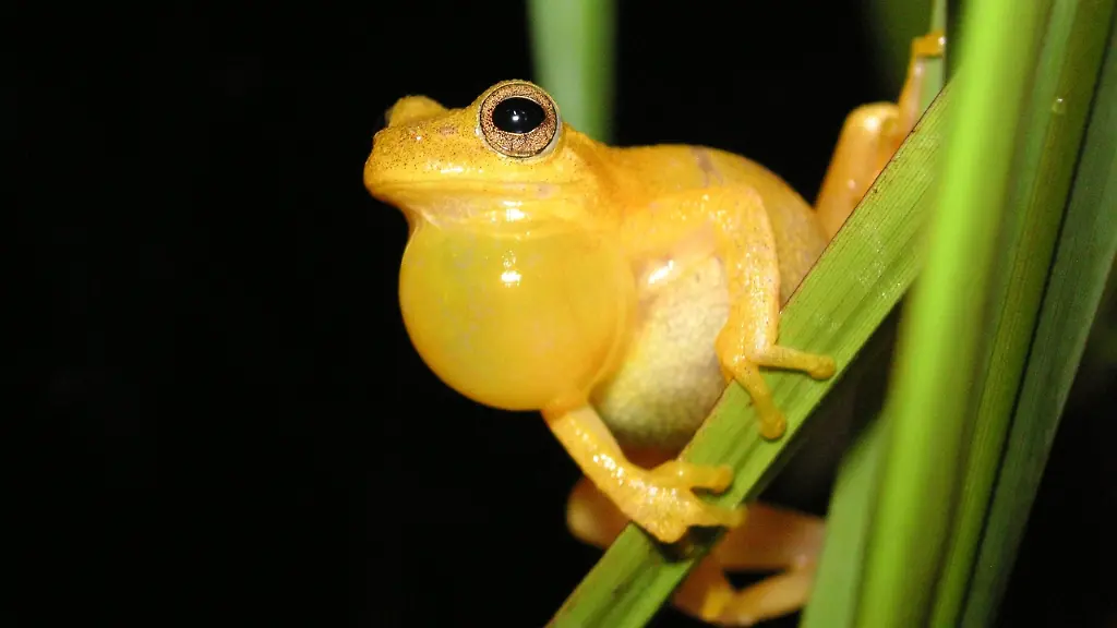 30ud2728-jpg7483372963356045831