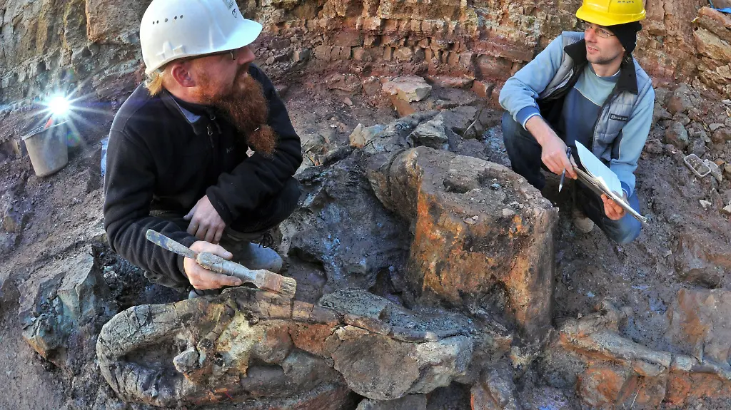 30t33737-jpg3852305201298915675