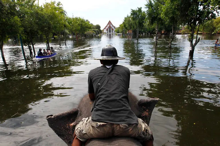 2011-10-14T113452Z-01-BAN04-RTRMDNP-3-THAILAND-FLOODS-JPG8196792877956152163