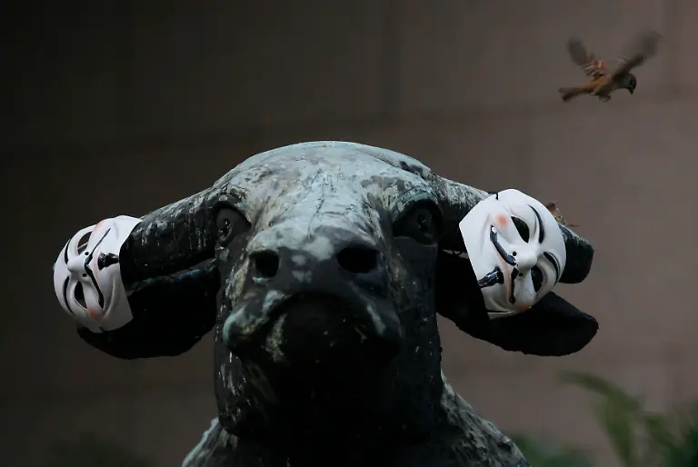 DAB1909-20111015-jpg7753623518929180361