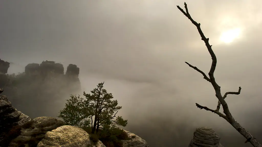 30fn3006-jpg3777500214249366030