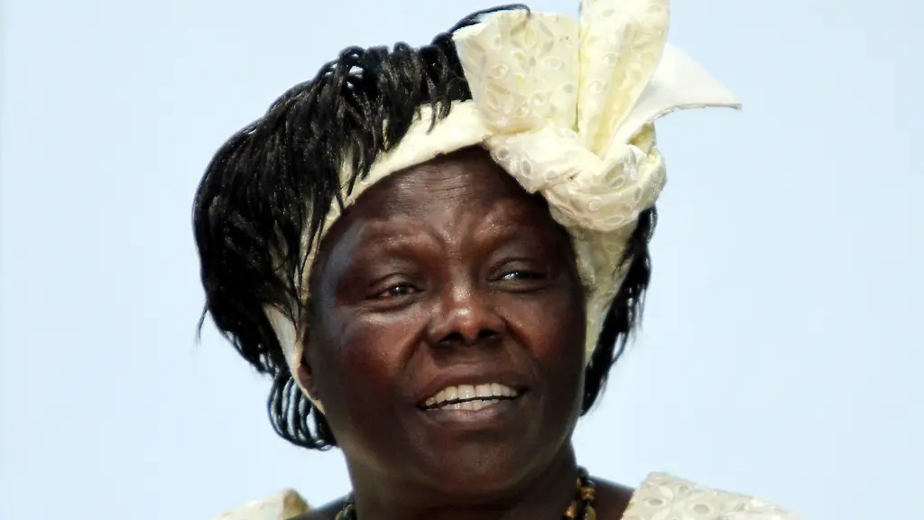 2011-09-26T051953Z-01-SIN002-RTRMDNP-3-KENYA-LAUREATE-JPG82808015684061224