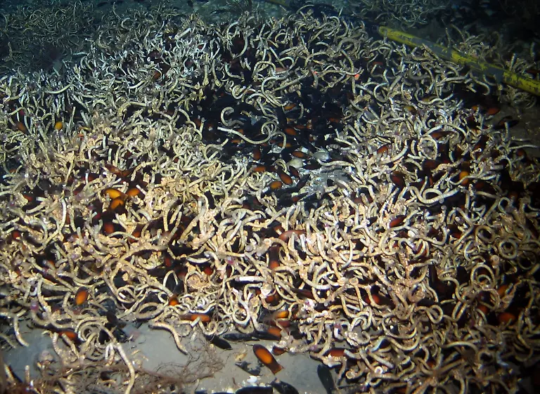 30br1751-jpg3606122481396193836