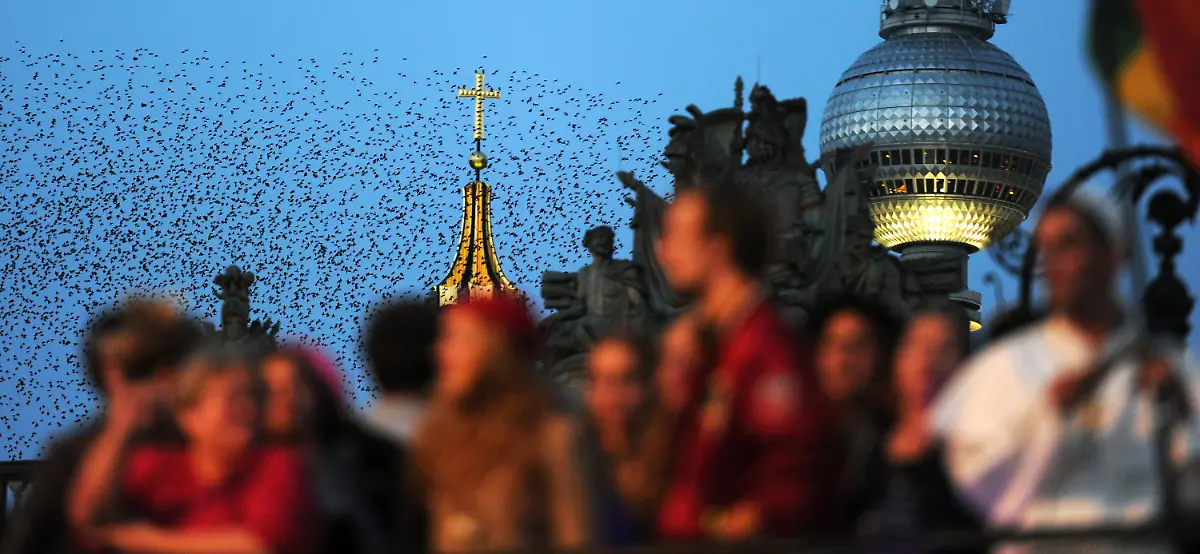 30bw0816-jpg5394078903857181104