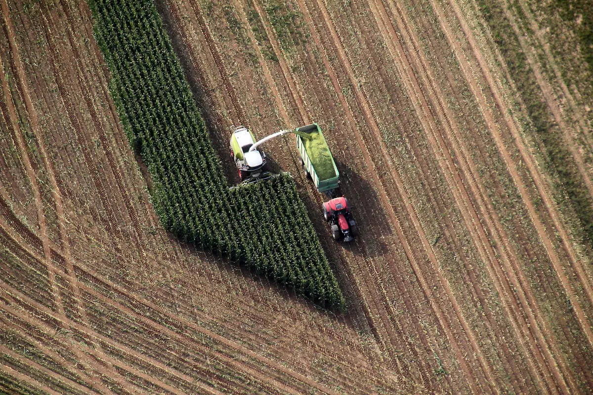 309n3303-jpg9118629082221998032