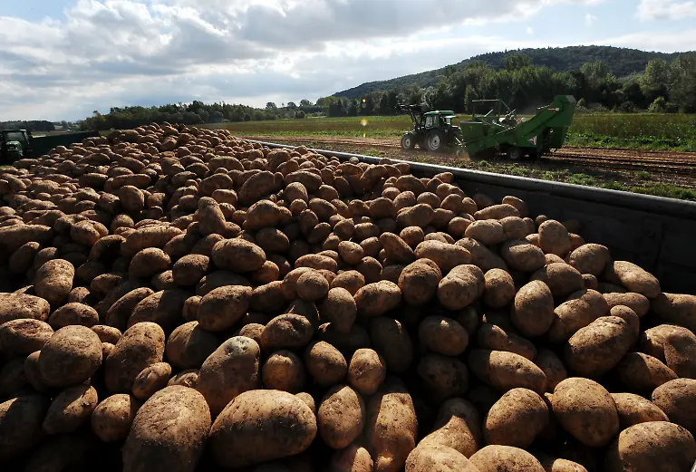 30bo5017-jpg4380640155565299266