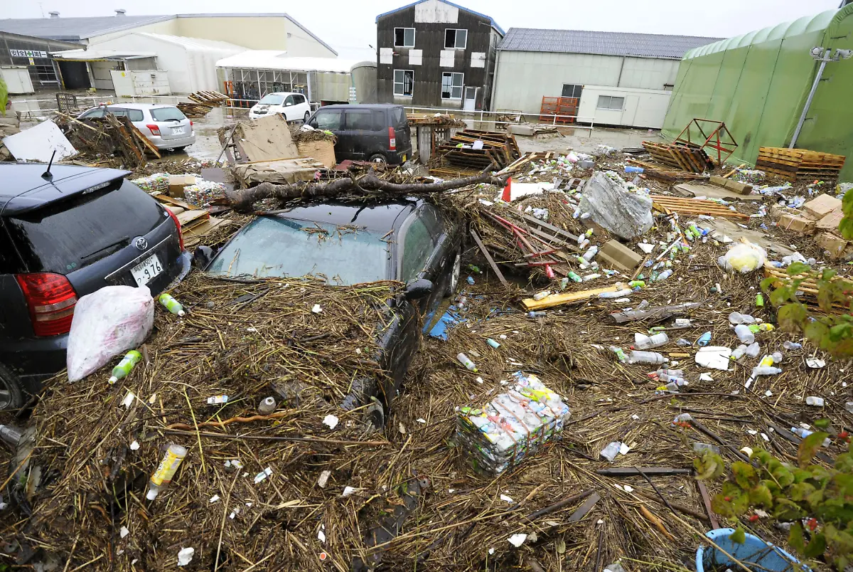 1316571853-jpg3223032682998189557