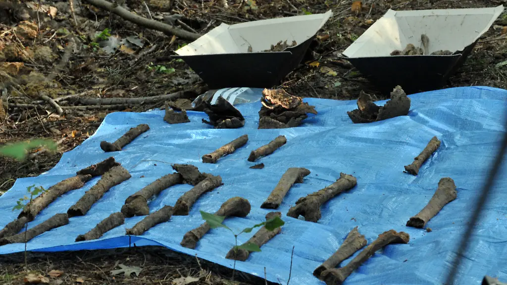 30ad2238-jpg7276651117195454548