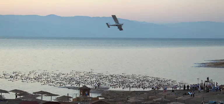 308b5323-jpg2100081788833434898