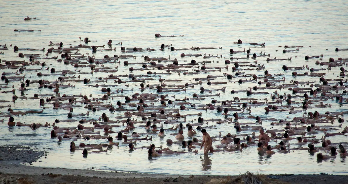 308b5444-jpg4152827737901014442