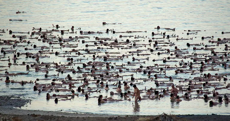 308b5444-jpg4152827737901014442