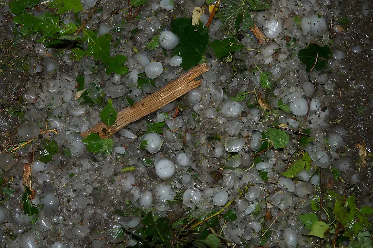 304o4735-jpg2215490258275633427