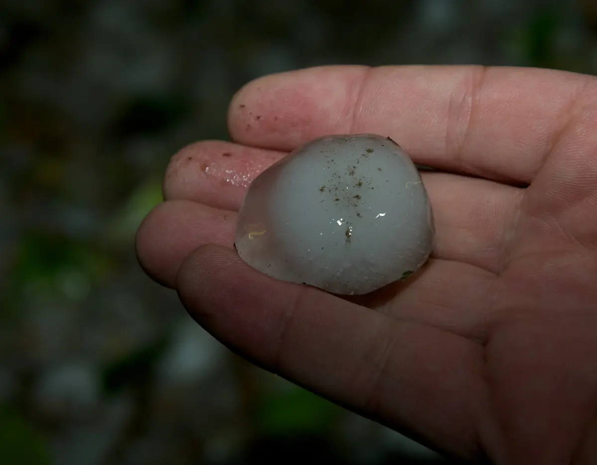 304o4740-jpg8242304337138639451