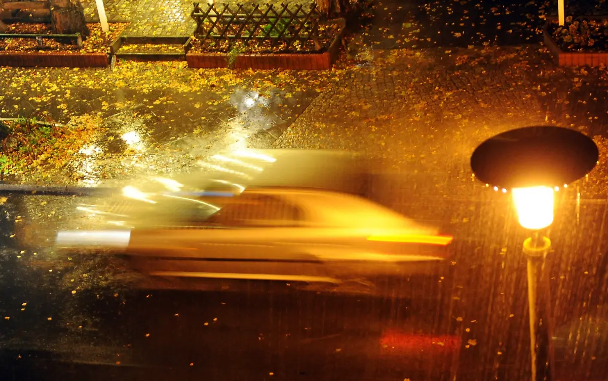 304l2041-jpg8839675777981876617