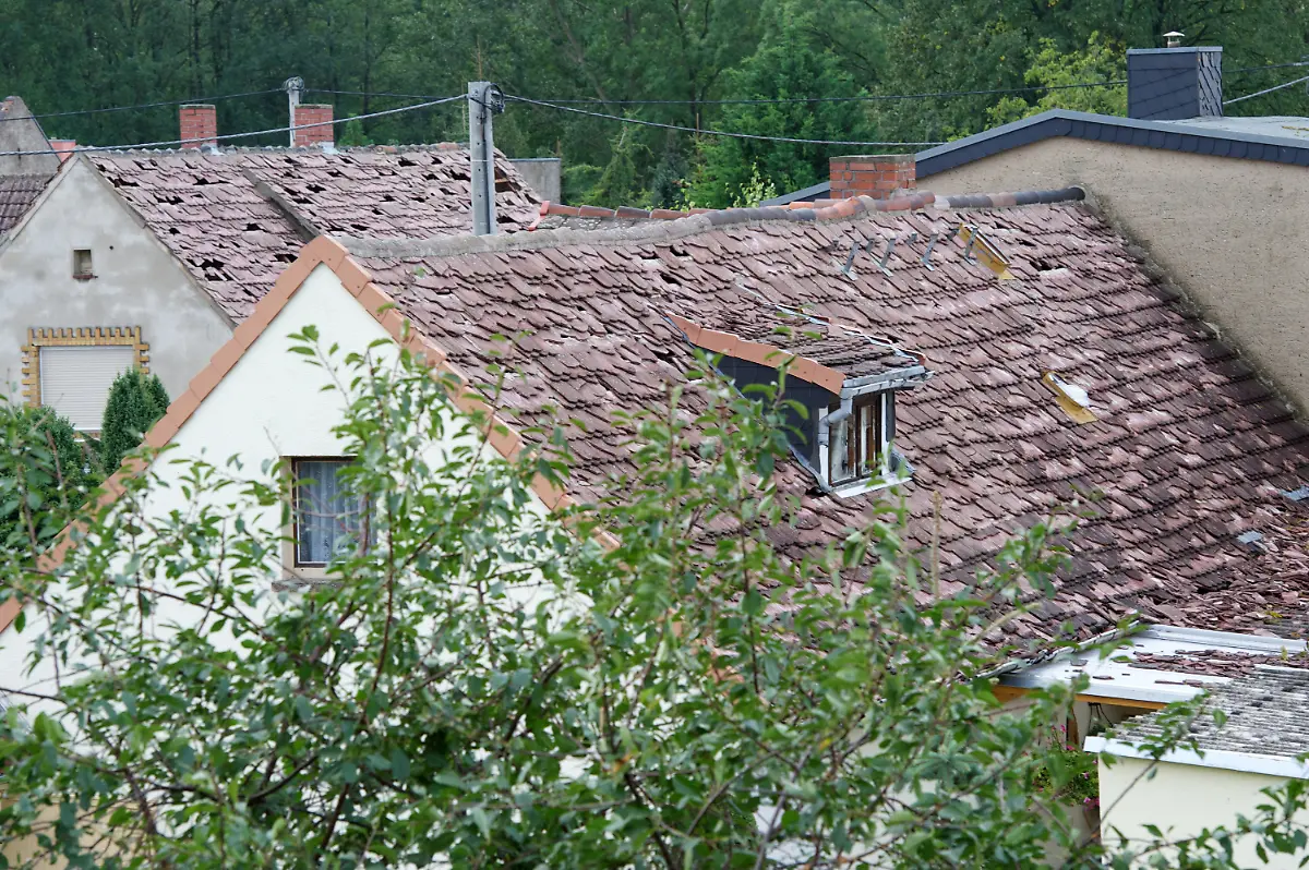 304x5100-jpg8423151706277546784