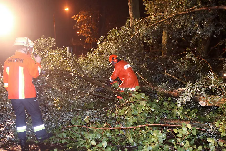 304z0618-jpg7180887194748651872