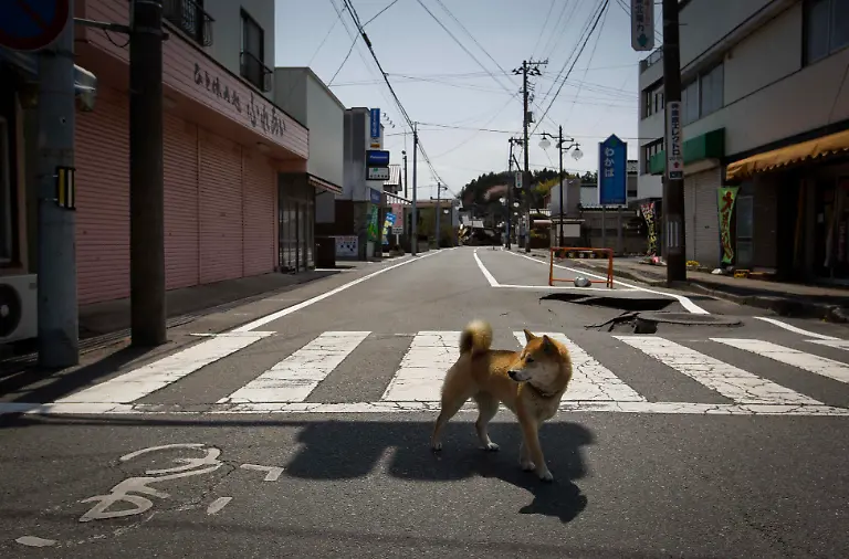 1315059855-jpg883998506419352598