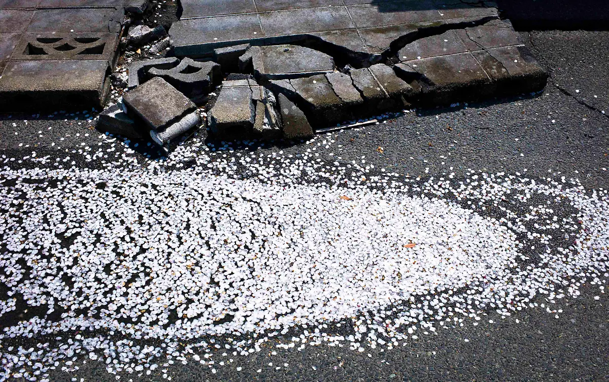 1315060420-jpg906586056770443903