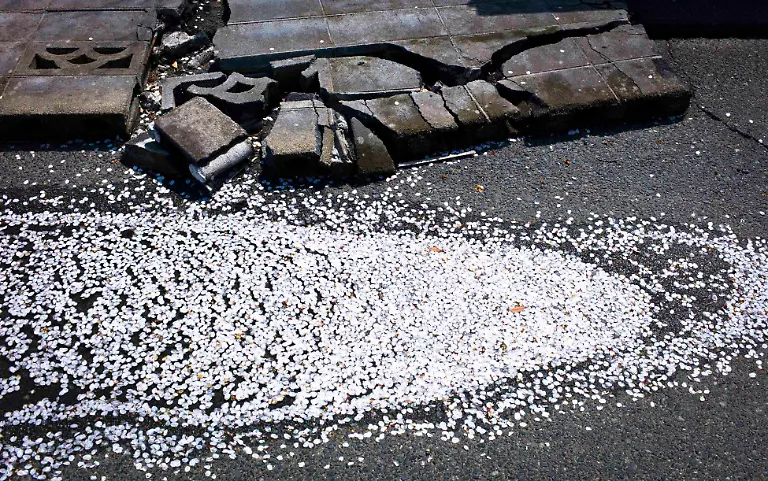 1315060420-jpg906586056770443903