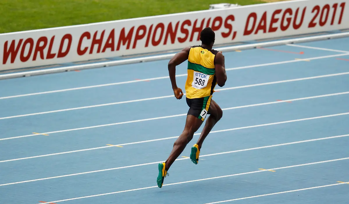 1314933022-jpg6016647033174279051