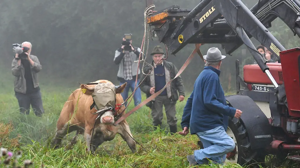 2zy90735-jpg3772749542161585455