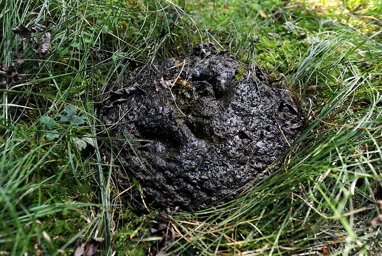 2zxu5407-jpg6017269732104290880