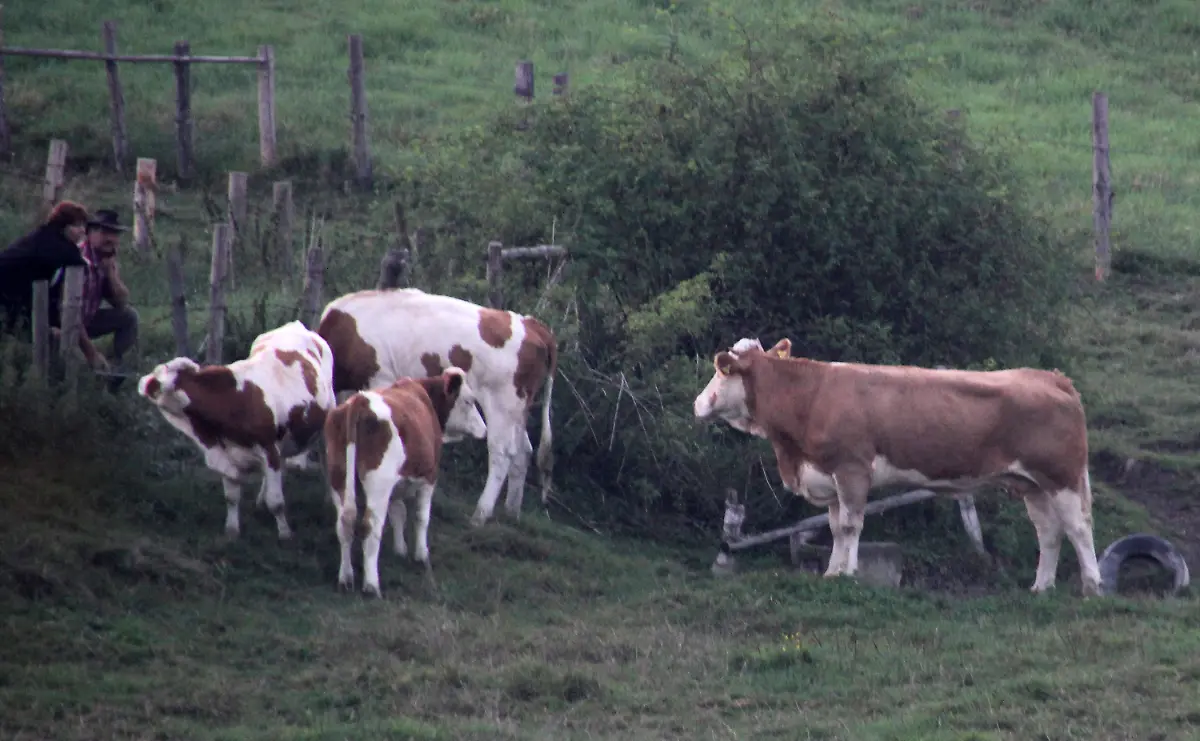 2zxx5844-jpg2980587754907337145