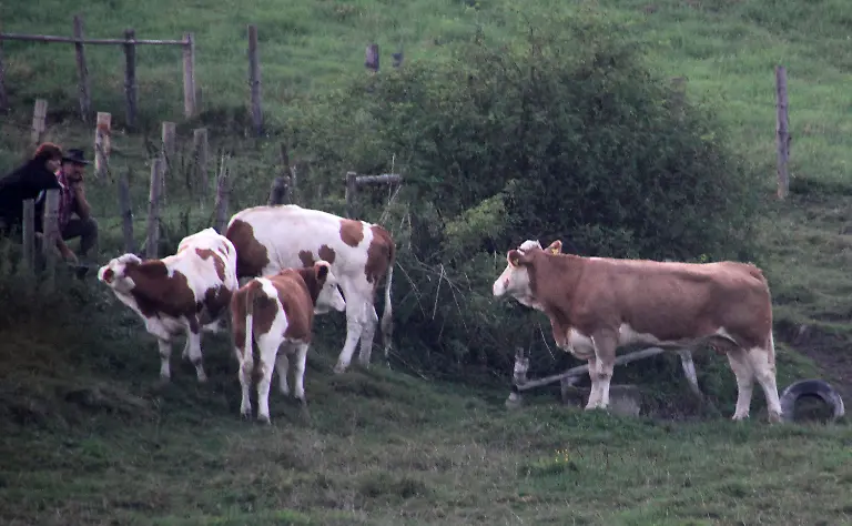 2zxx5844-jpg2980587754907337145