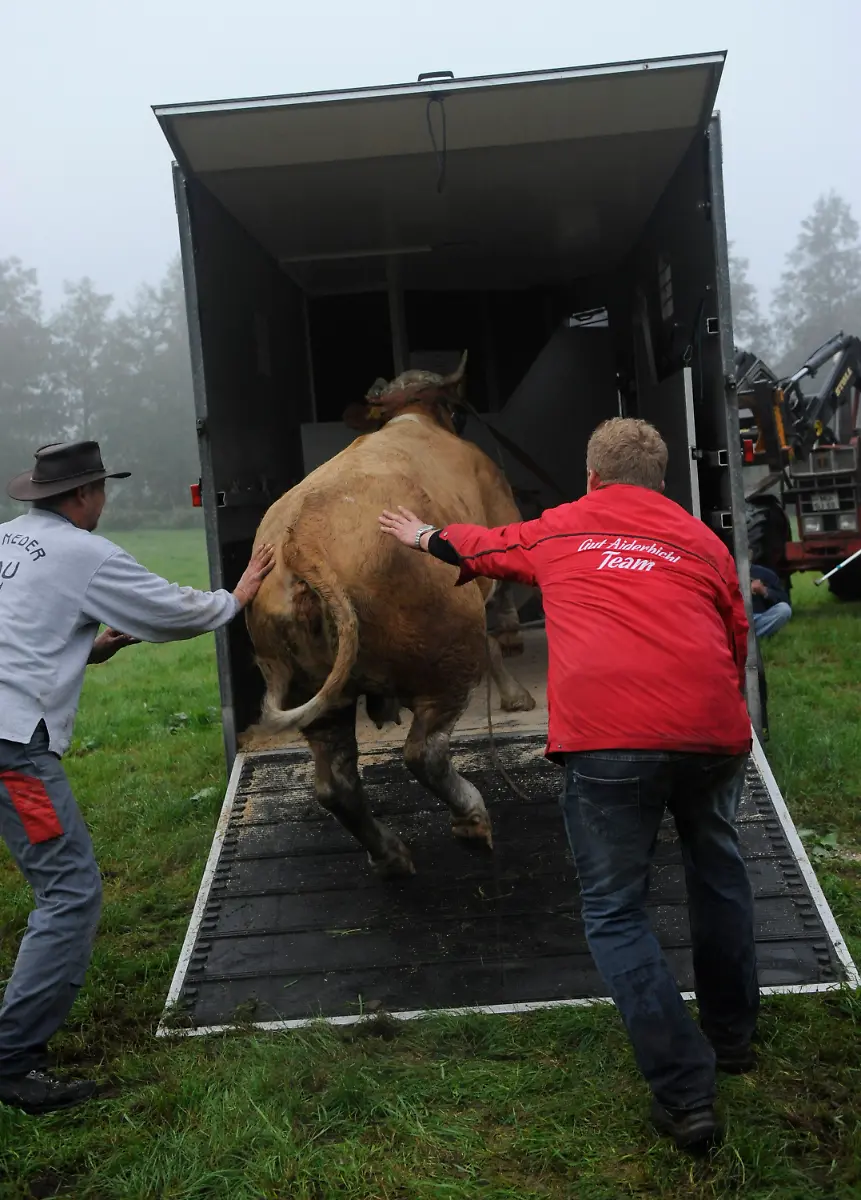 2zy90100-jpg3019515770433625683