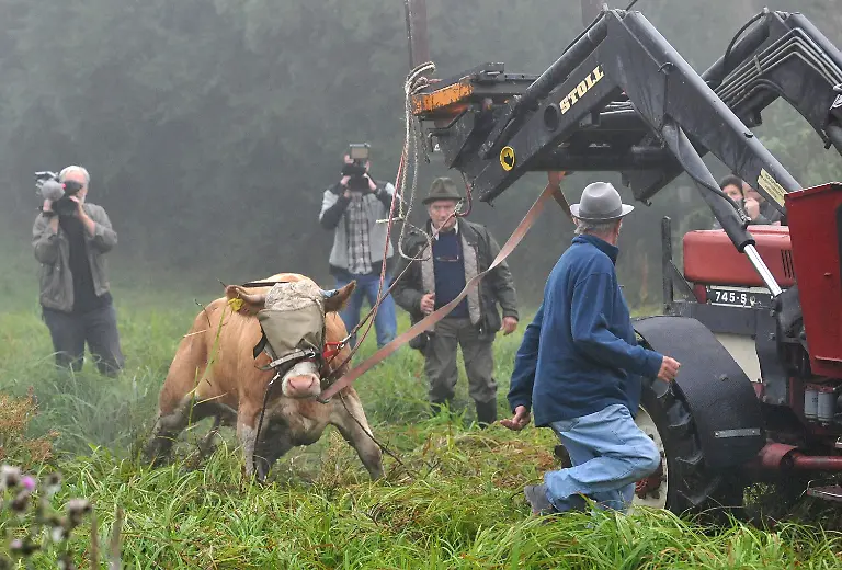 2zy90735-jpg43848570809725916