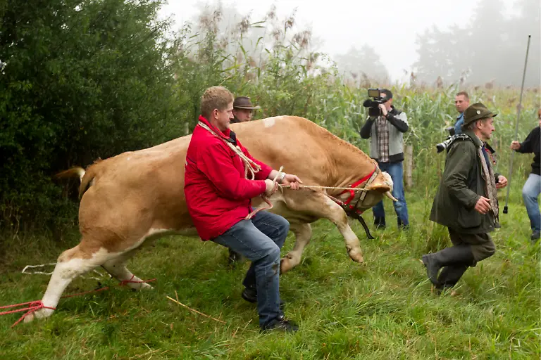 DI10011-20110902-jpg7050083255255664617