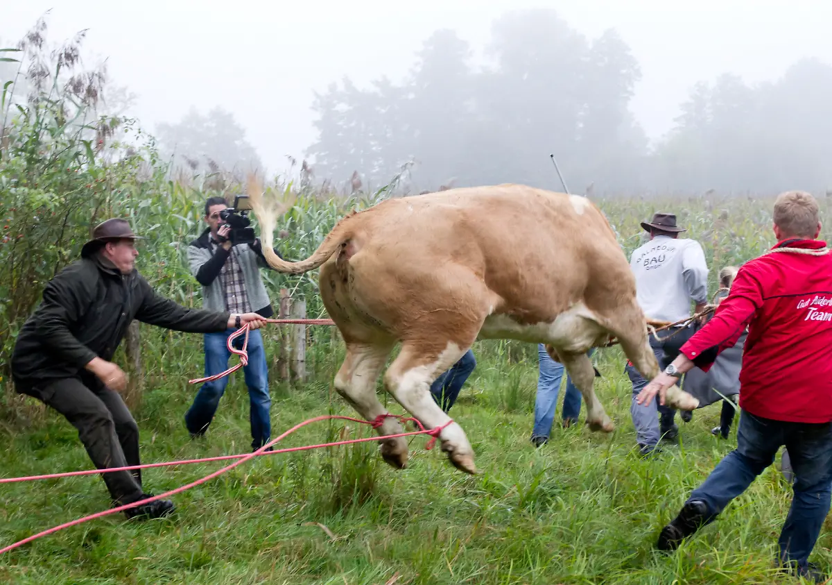 DI10012-20110902-jpg8994326590078772066