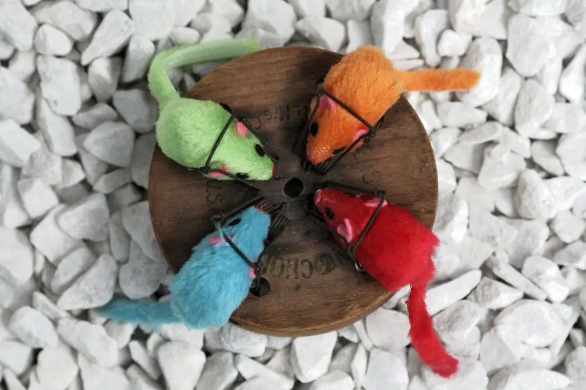 Schwippgalgenfalle-um-1900-USA