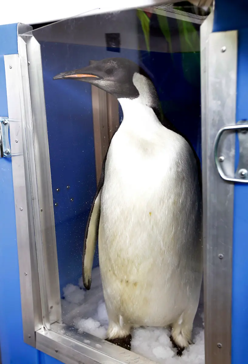 DAB1649-20110829-jpg3311570494565398722