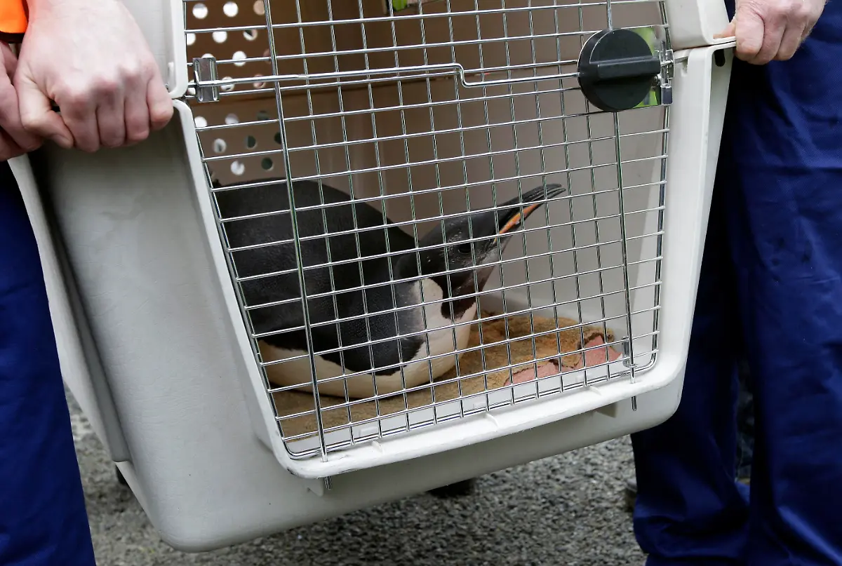 1314596024-jpg5748797598688613380