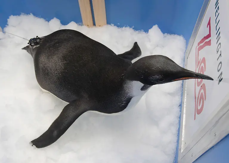 1314595949-jpg5197004289749275325