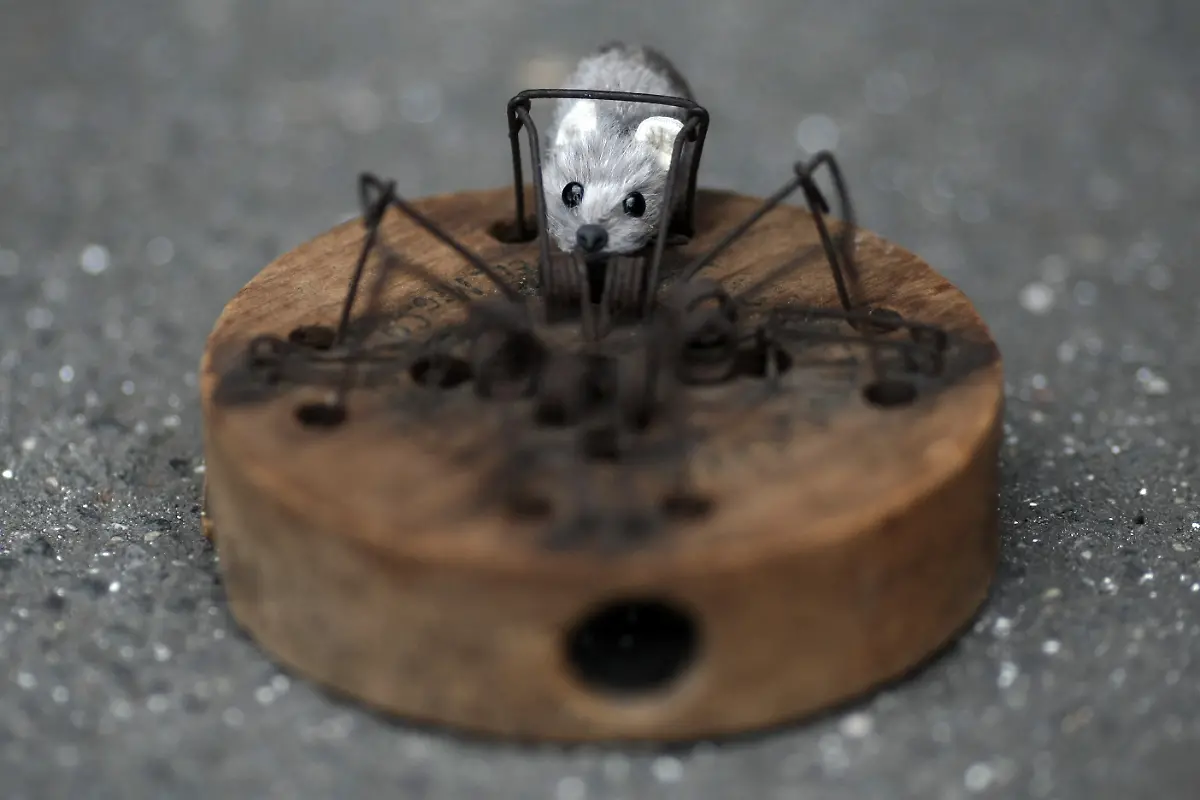 Schwippgalgenfalle-2