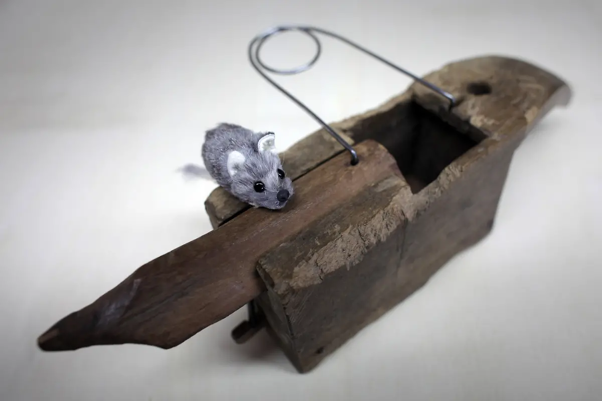 torsionskasten-Lebendfalle-um-1700