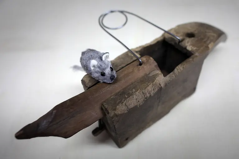 torsionskasten-Lebendfalle-um-1700