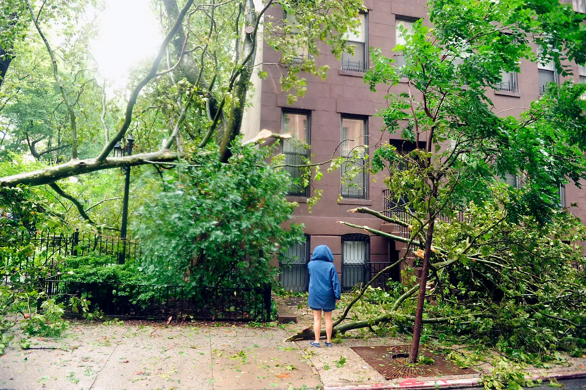 2zv55635-jpg5293163330356917098