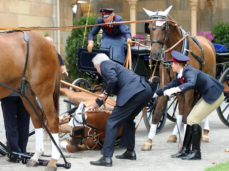 2zuf1533-jpg8322279888239035753