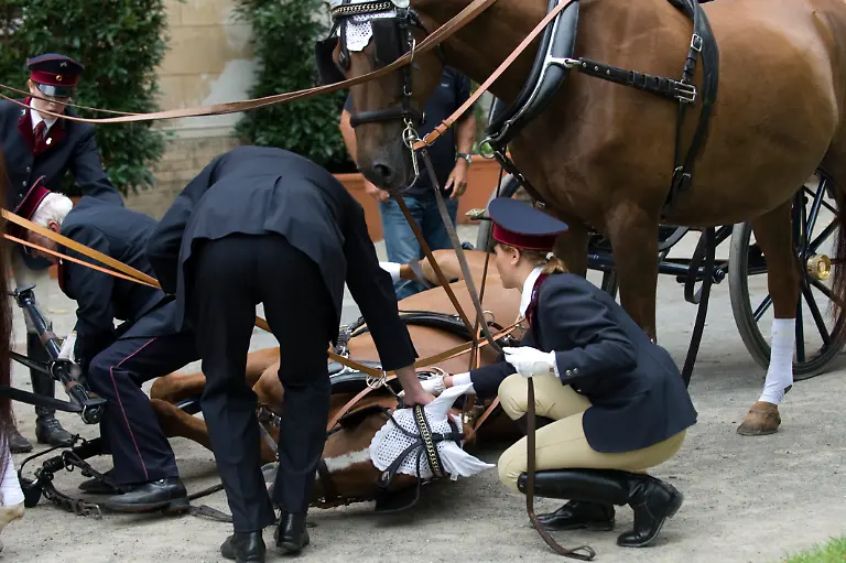 1314460624-jpg8413287346966429030