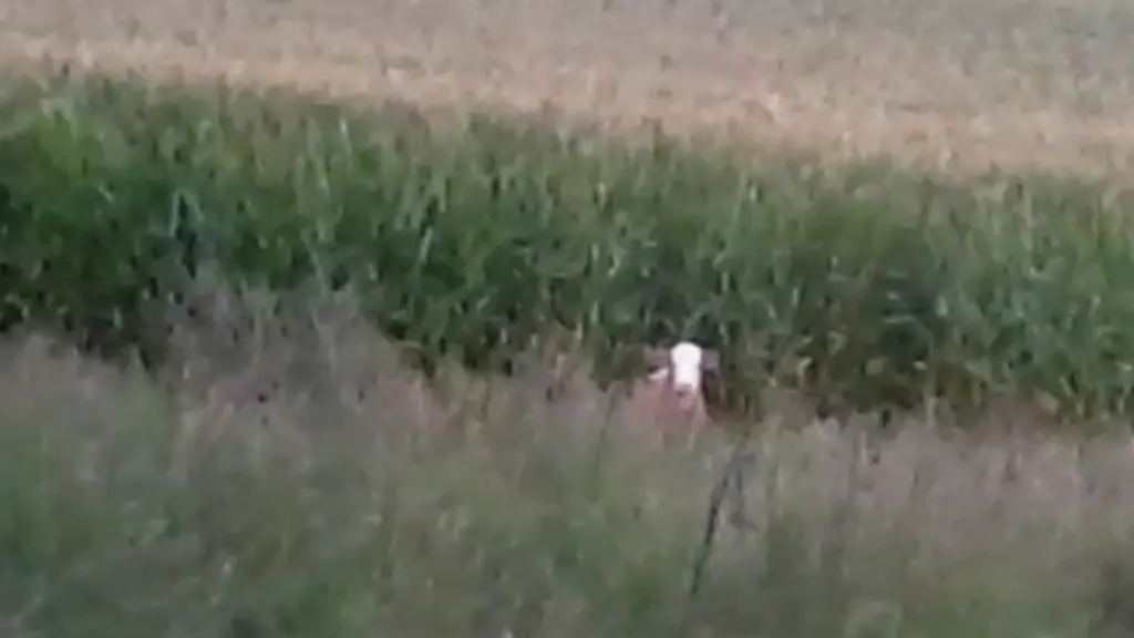 2zt10240-jpg4003161273968501741