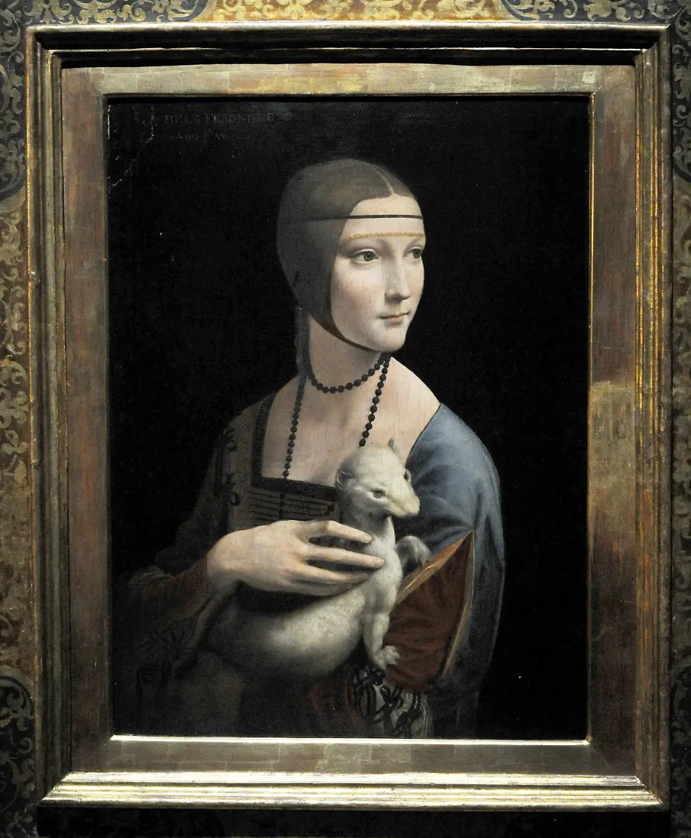 2zse2903-jpg7089107350468642422