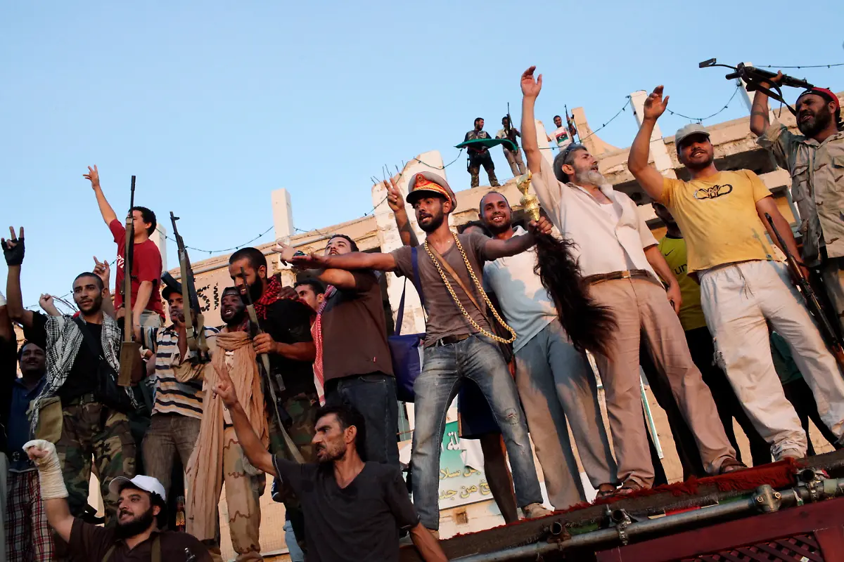 2zs15411-jpg1724607328371961502