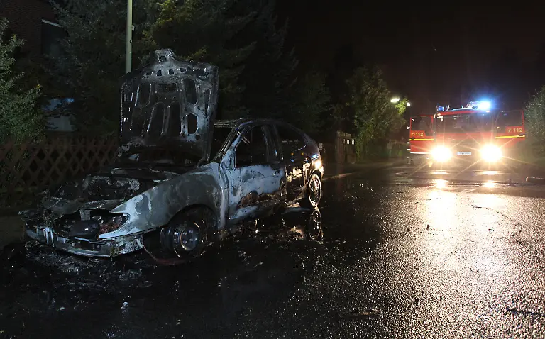 2zou5733-jpg3798923671428593957