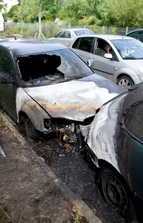 2zmz3538-jpg8349458318882388593