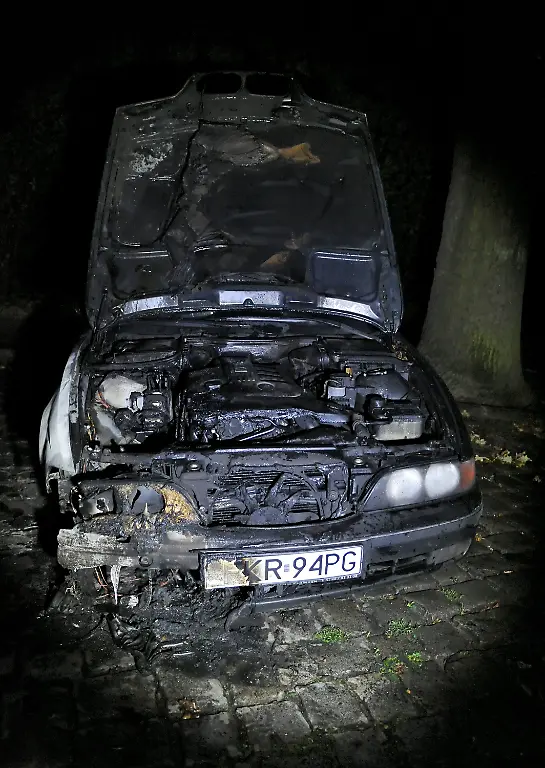 2zng1030-jpg6937797729849075735